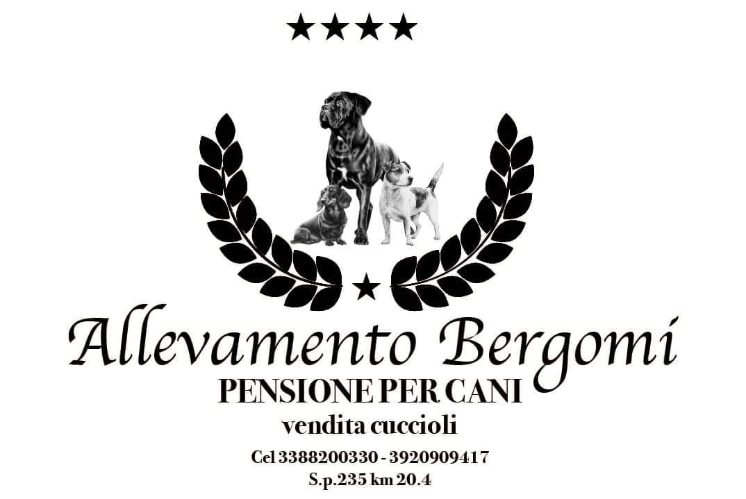 Logo Allevamento Bergomi